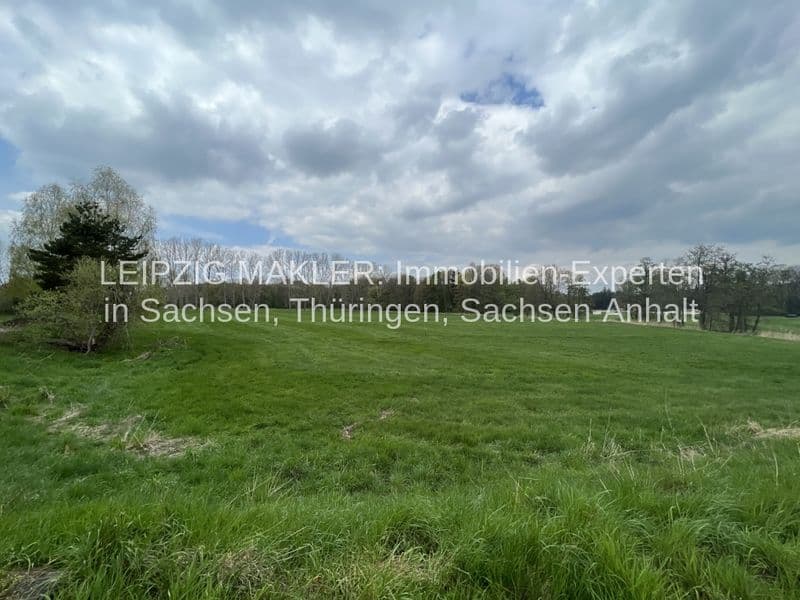 Grüne Wiese mit einzelnen Bäumen, bewölkter Himmel, Waldweg in Beucha