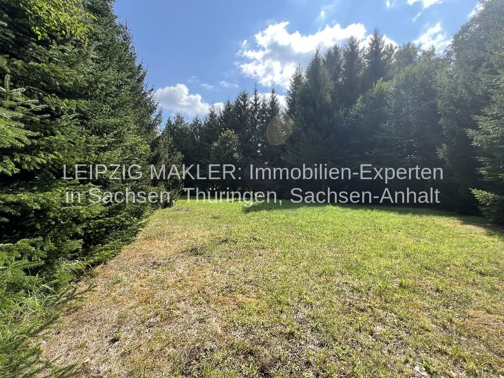 Freie Wiese mit Baumbestand links und rechts, Nadelwälder im Hintergrund, Splau in Bad Schmiedeberg