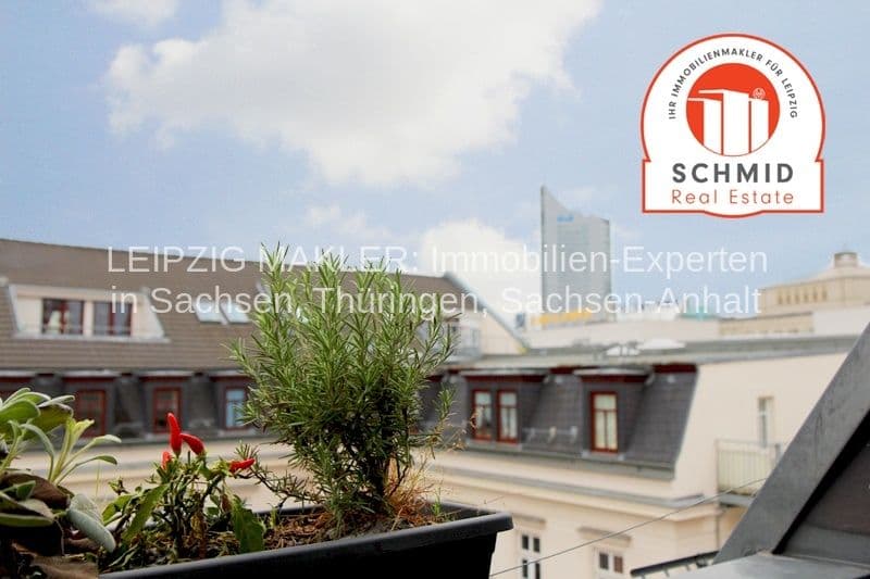 Dachterrasse mit Pflanzkübeln und Blick auf mehrstöckige Altbauten mit Mansarddächern