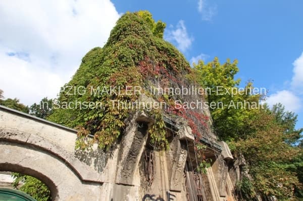Ruine eines Turmhauses mit dicht bewachsener Efeu- und Kletterpflanzenfassade, Mühlholzgasse in Leipzig