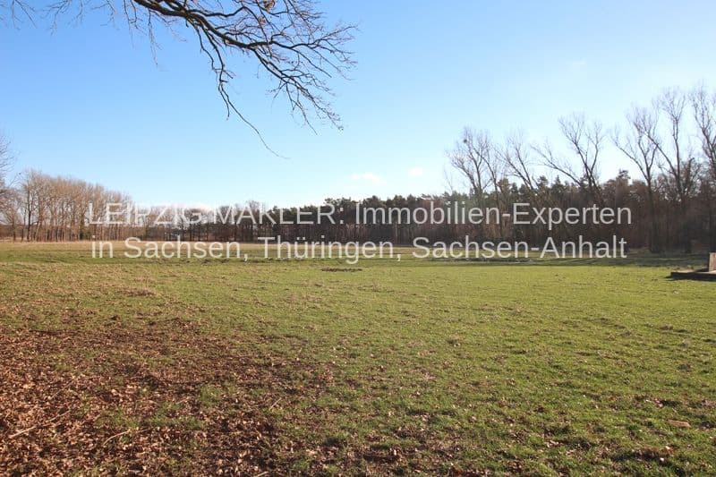 Freies Grundstück mit Wiese und Laubwald, Moritz-Nebe-Weg in Beucha