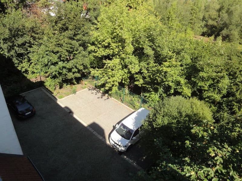 Gepflasterte Hofeinfahrt mit Parkplätzen, umgeben von dichten Hecken und Bäumen, Huttenstraße in Halle