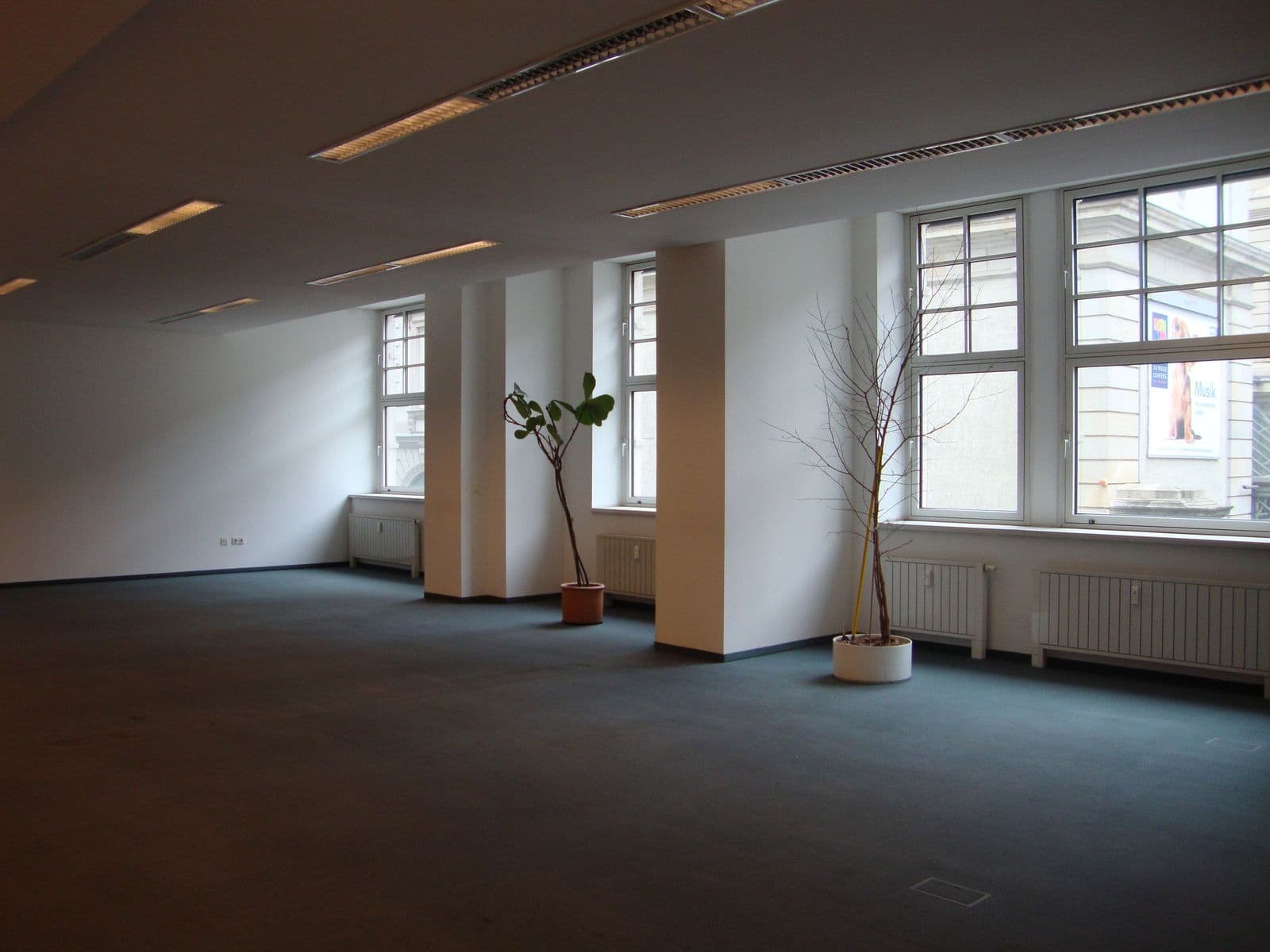 Leerer Büroraum mit grauem Teppichboden, hellen Wänden, Holzstützen, großflächigen Fenstern und LED-Deckenleuchten