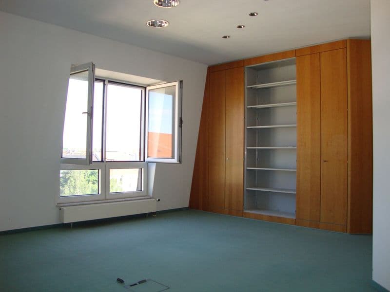 Leerer Raum mit grünem Bodenbelag, Holzschranksystem mit offenen Regalen, Fenster mit Ausblick