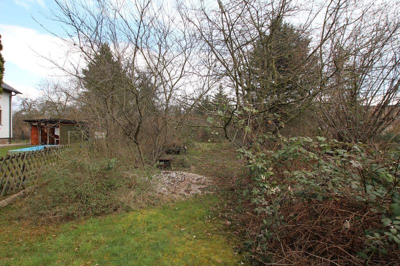 Gartengrundstück mit dichtem Baumbestand, Rasenfläche und rotem Gartenhaus links, Galileistraße in Leipzig-Möckern