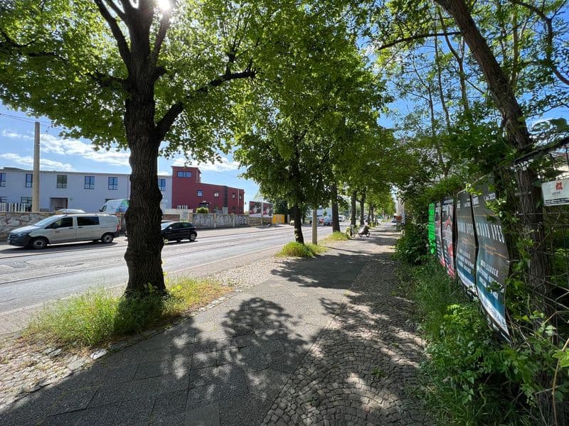 Straßenansicht mit großen Laubbäumen, Volbedingstr. in Leipzig