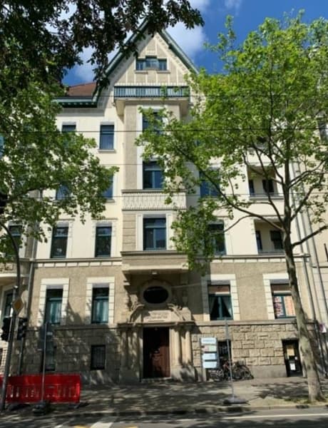 Hausfront, Repräsentatives Denkmal als Wohn- und Geschäftshaus