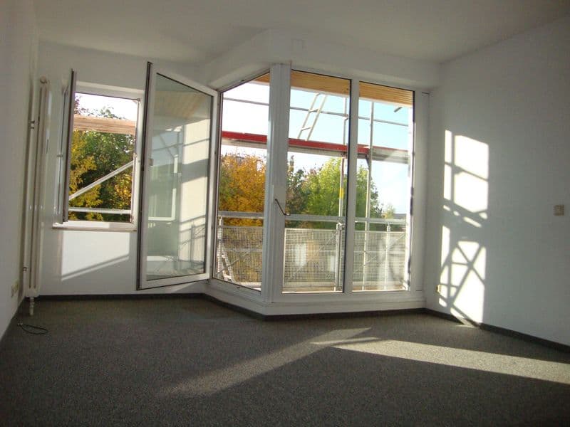 Leerer Raum mit grauem Teppichboden, große Fensterfront mit Glastüren und Blick auf Grünfläche, helle Wände