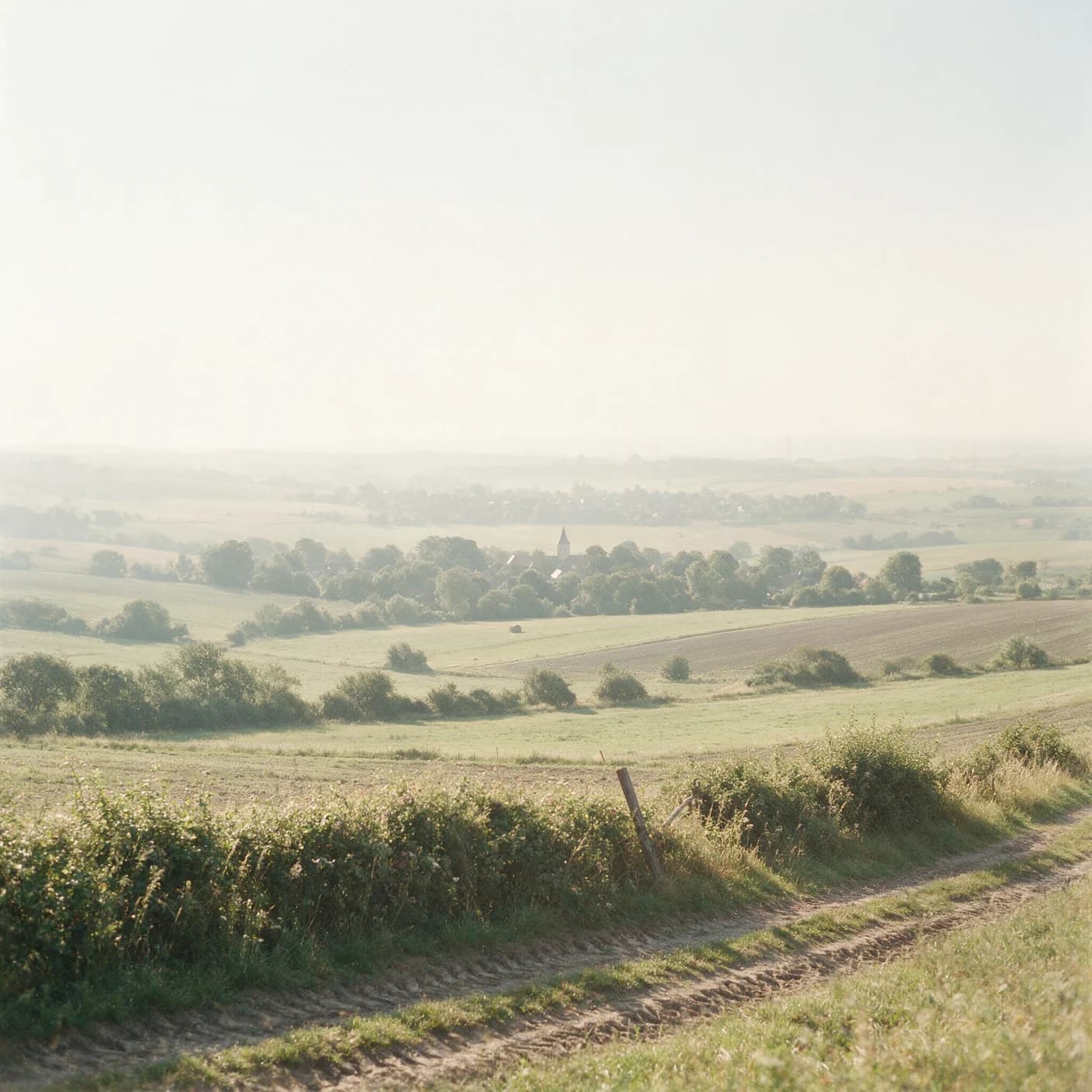 Blick über Felder und Baumreihen auf ein Dorf mit Kirchturm, dahinter ein weiterer Ort im Morgendunst