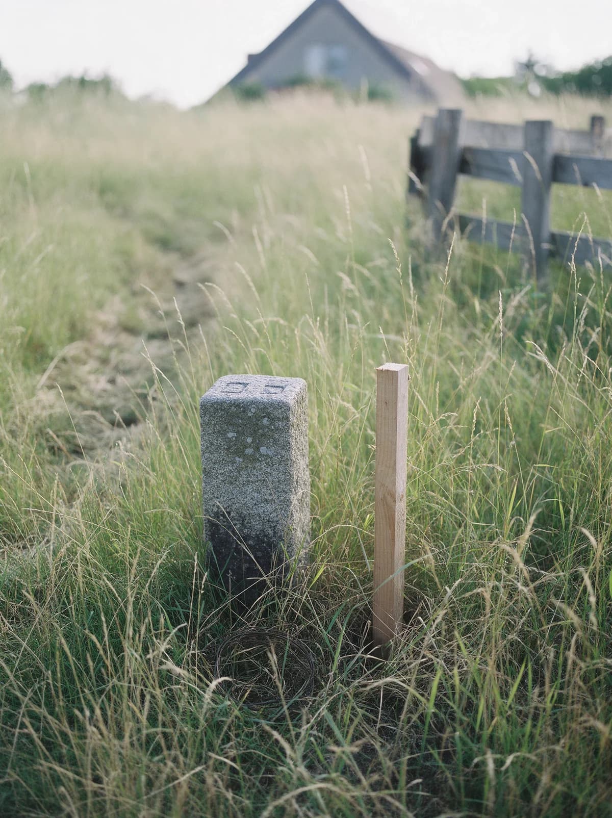 Grenzstein und Vermessungspfosten in der Wiese eines Baugrundstücks
