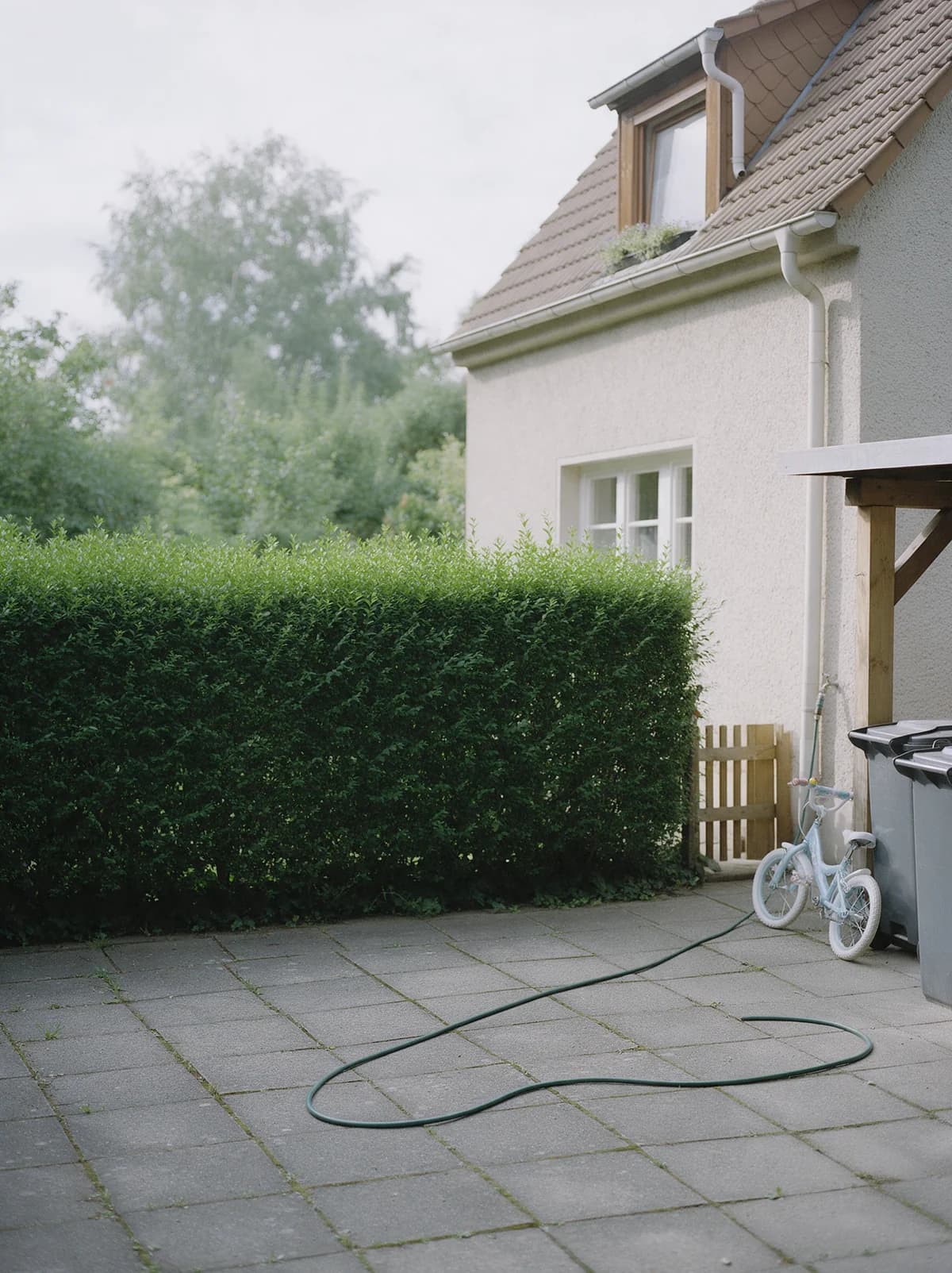 Geschnittene Hecke und gepflasterte Einfahrt vor einem verputzten Wohnhaus