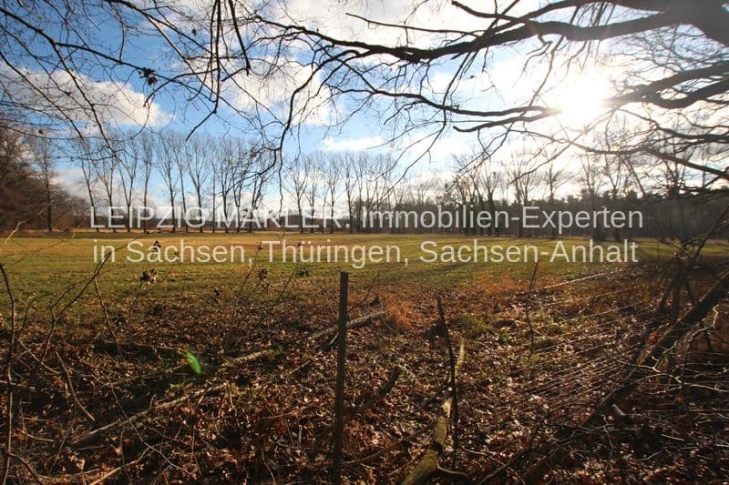 Grundstück mit Wiese und lichtem Baumbestand, Zaun im Vordergrund, Moritz-Nebe-Weg in Beucha
