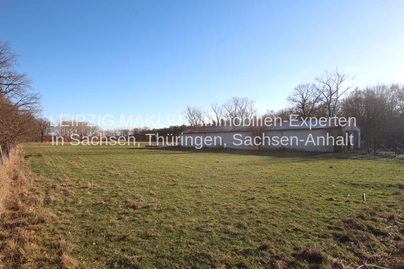 Grüne Wiese mit Baumbestand an den Rändern, klarer Himmel, Beucha